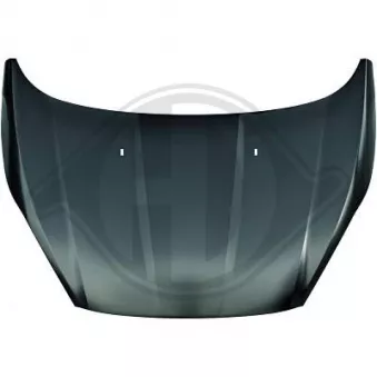 Capot-moteur DIEDERICHS [1405100]