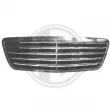 Grille de radiateur DIEDERICHS [1614140]