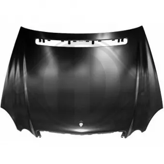 DIEDERICHS 1615000 - Capot-moteur