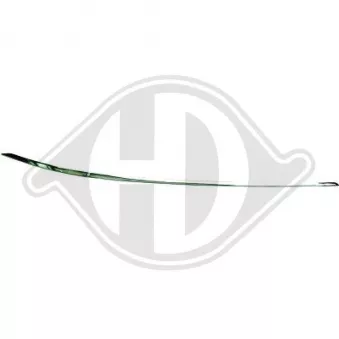 DIEDERICHS 1616062 - Baguette et bande protectrice, pare-chocs avant droit