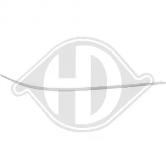 DIEDERICHS 1626064 - Baguette et bande protectrice, pare-chocs avant droit