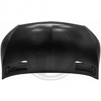 DIEDERICHS 1664000 - Capot-moteur