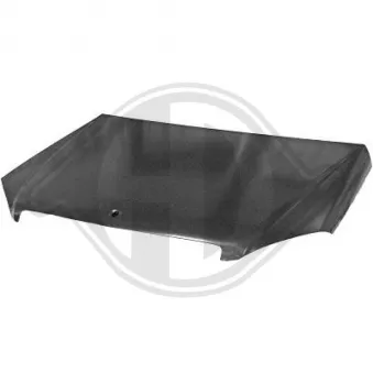 DIEDERICHS 1672000 - Capot-moteur