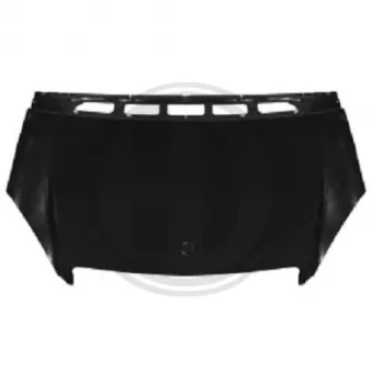 DIEDERICHS 1681000 - Capot-moteur