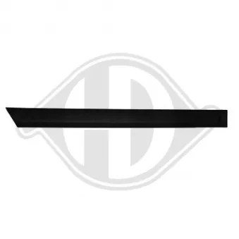 Baguette et bande protectrice, porte arrière gauche DIEDERICHS [1806323]