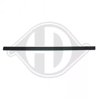 Baguette et bande protectrice, porte avant gauche DIEDERICHS [1875421]