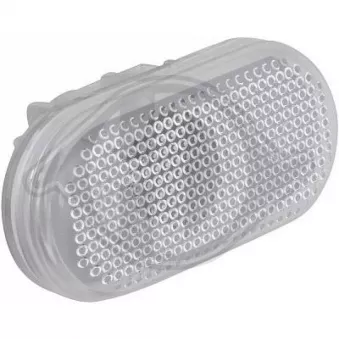 Feu clignotant avant droit DIEDERICHS [1897076]