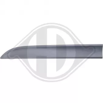Baguette et bande protectrice, porte avant gauche DIEDERICHS [2030163]