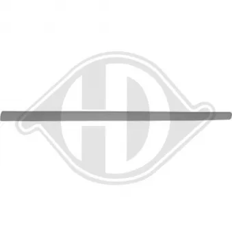 DIEDERICHS 2205420 - Baguette et bande protectrice, porte avant droit