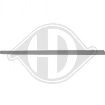 DIEDERICHS 2205421 - Baguette et bande protectrice, porte avant gauche