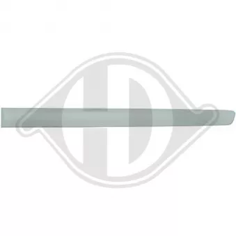 DIEDERICHS 2205422 - Baguette et bande protectrice, porte arrière droit