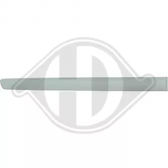 DIEDERICHS 2205423 - Baguette et bande protectrice, porte arrière gauche