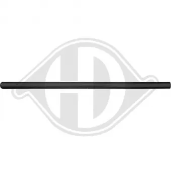 DIEDERICHS 2205620 - Baguette et bande protectrice, porte avant droit