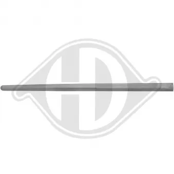 Baguette et bande protectrice, porte avant droit DIEDERICHS [2214520]