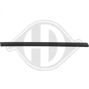 Baguette et bande protectrice, porte arrière droit DIEDERICHS [2245322]