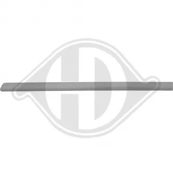 Baguette et bande protectrice, porte arrière gauche DIEDERICHS [2245423]