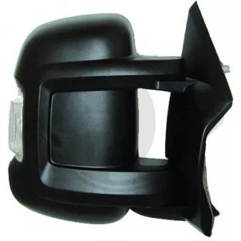 Rétroviseur extérieur DIEDERICHS [3484024]