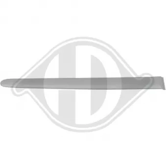 Baguette et bande protectrice, porte arrière droit DIEDERICHS [4225722]