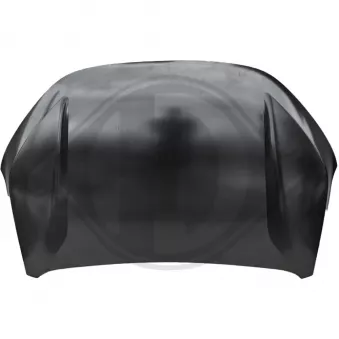 DIEDERICHS 4457000 - Capot-moteur