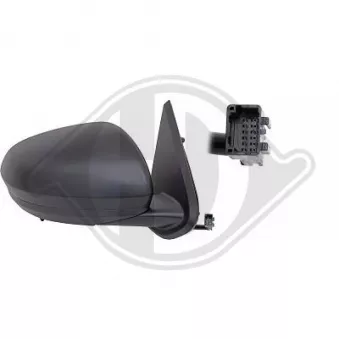 Rétroviseur extérieur DIEDERICHS [4561124]