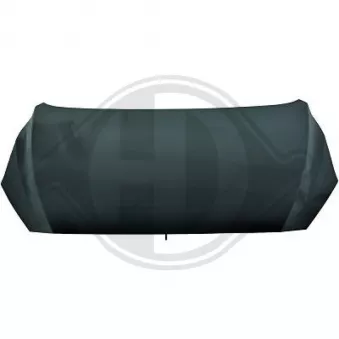 DIEDERICHS 5620100 - Capot-moteur