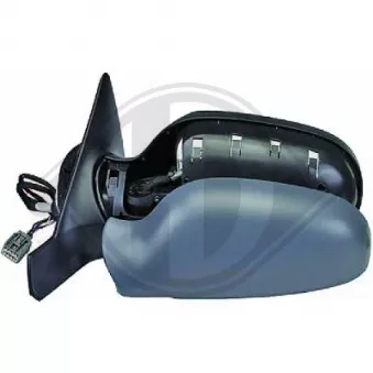 Rétroviseur extérieur DIEDERICHS [7680225]