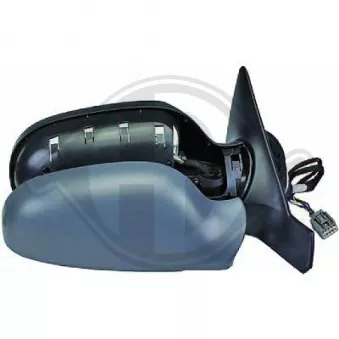 Rétroviseur extérieur DIEDERICHS [7680524]