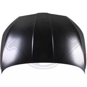 DIEDERICHS 7808000 - Capot-moteur