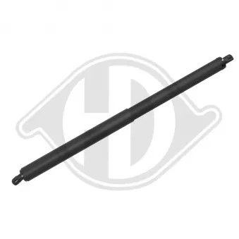 Vérin de hayon, de coffre arrière droit DIEDERICHS [9100591]