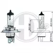 Ampoule, projecteur principal DIEDERICHS [LID10024]