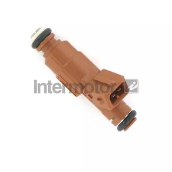 INTERMOTOR 31039 - Injecteur