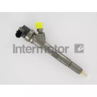 Porte-injecteur INTERMOTOR [87089]