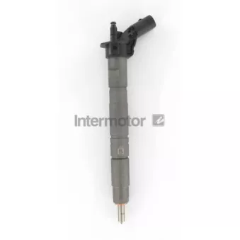 INTERMOTOR 87241 - Porte-injecteur