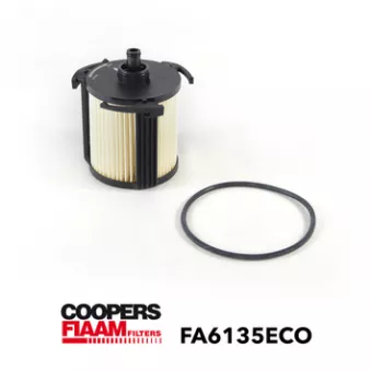 CoopersFiaam FA6135ECO - Filtre à carburant