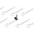REMANTE 002-003-002424R - Injecteur