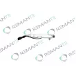 Injecteur REMANTE [002-003-002431R]