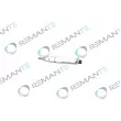 Injecteur REMANTE [002-010-002432R]