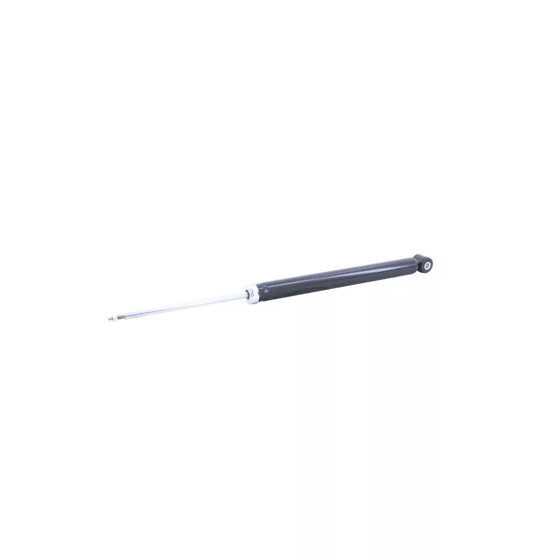 Jeu de 2 amortisseurs arrière CTR GY2249G - Visuel 2