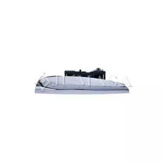 Poignée extérieure de porte arrière droit JUMASA [19421201]