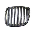 Grille de radiateur JUMASA [21370570]