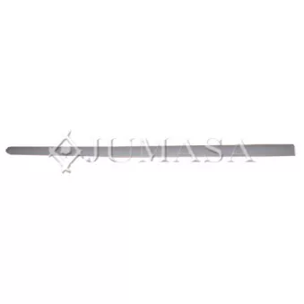 Baguette et bande protectrice, porte avant gauche JUMASA [29015551]
