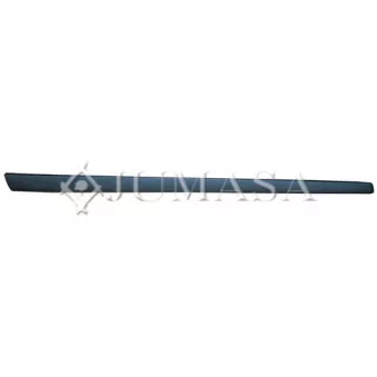 Baguette et bande protectrice, porte avant droit JUMASA [29021508]
