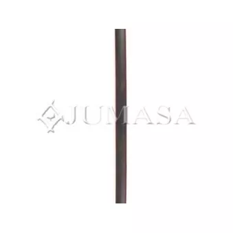 Baguette et bande protectrice, porte avant gauche JUMASA [29113060]