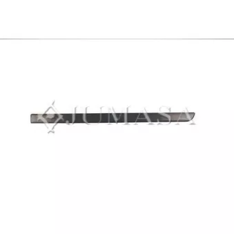 JUMASA 29264091 - Baguette et bande protectrice, porte avant droit