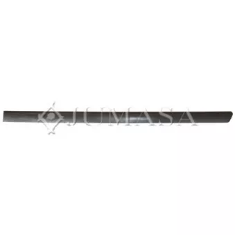 Baguette et bande protectrice, porte arrière gauche JUMASA [29275519]