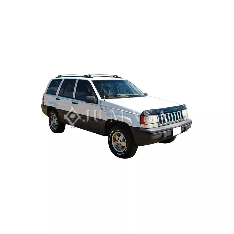 Projecteur principal JUMASA 38321126 - Visuel 2