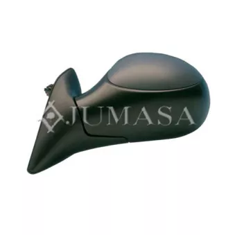 Rétroviseur extérieur JUMASA [54321058]