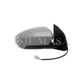 Rétroviseur extérieur JUMASA [54322667]