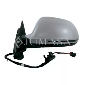 JUMASA 54620436 - Rétroviseur extérieur