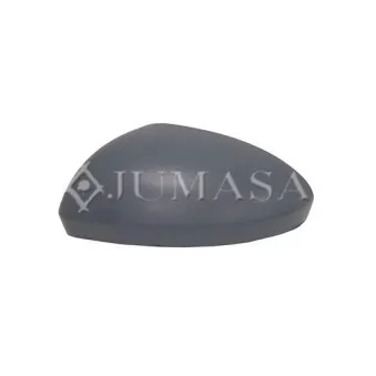 Revêtement, rétroviseur extérieur JUMASA [57114002]